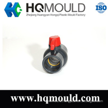 Plastic Injection Ball Check Mould